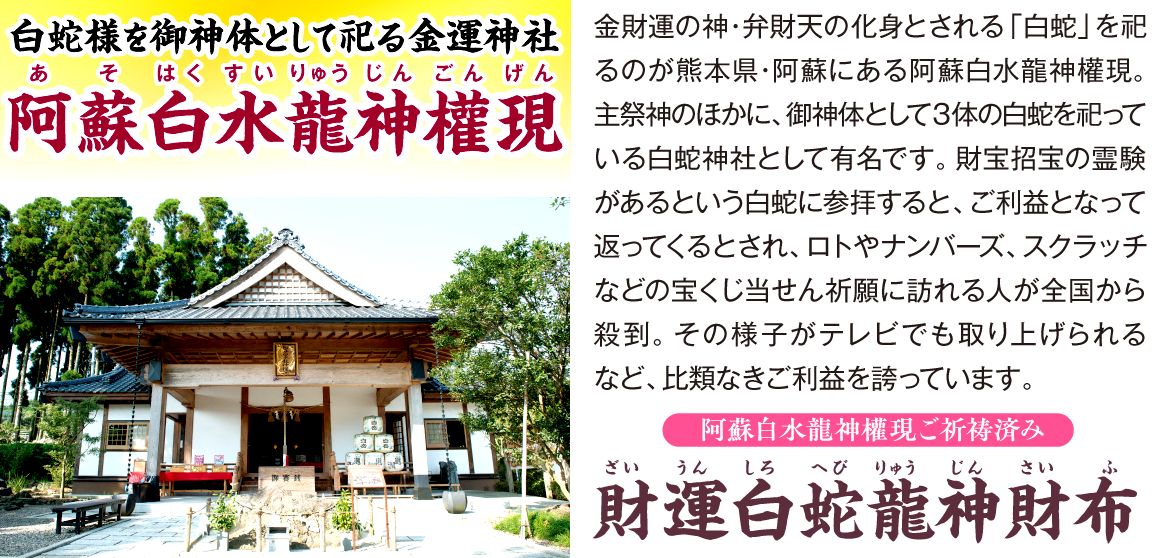 開運グッズのラッキーショップ 【財運白蛇龍神財布】の詳細はこちら