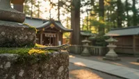 神社でトカゲに遭遇するのは神様からの歓迎サイン？その意味は私たちへの大切なメッセージかもしれませんね！