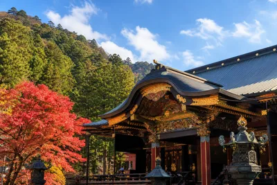 日光の神社を巡る旅へ！参拝と観光を楽しむ宿泊旅行の計画方法とは？