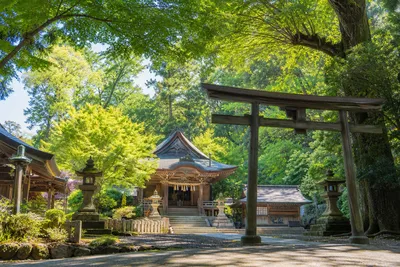 御朱印を集めながら神社巡り！泊まりで楽しむ旅行の計画方法！