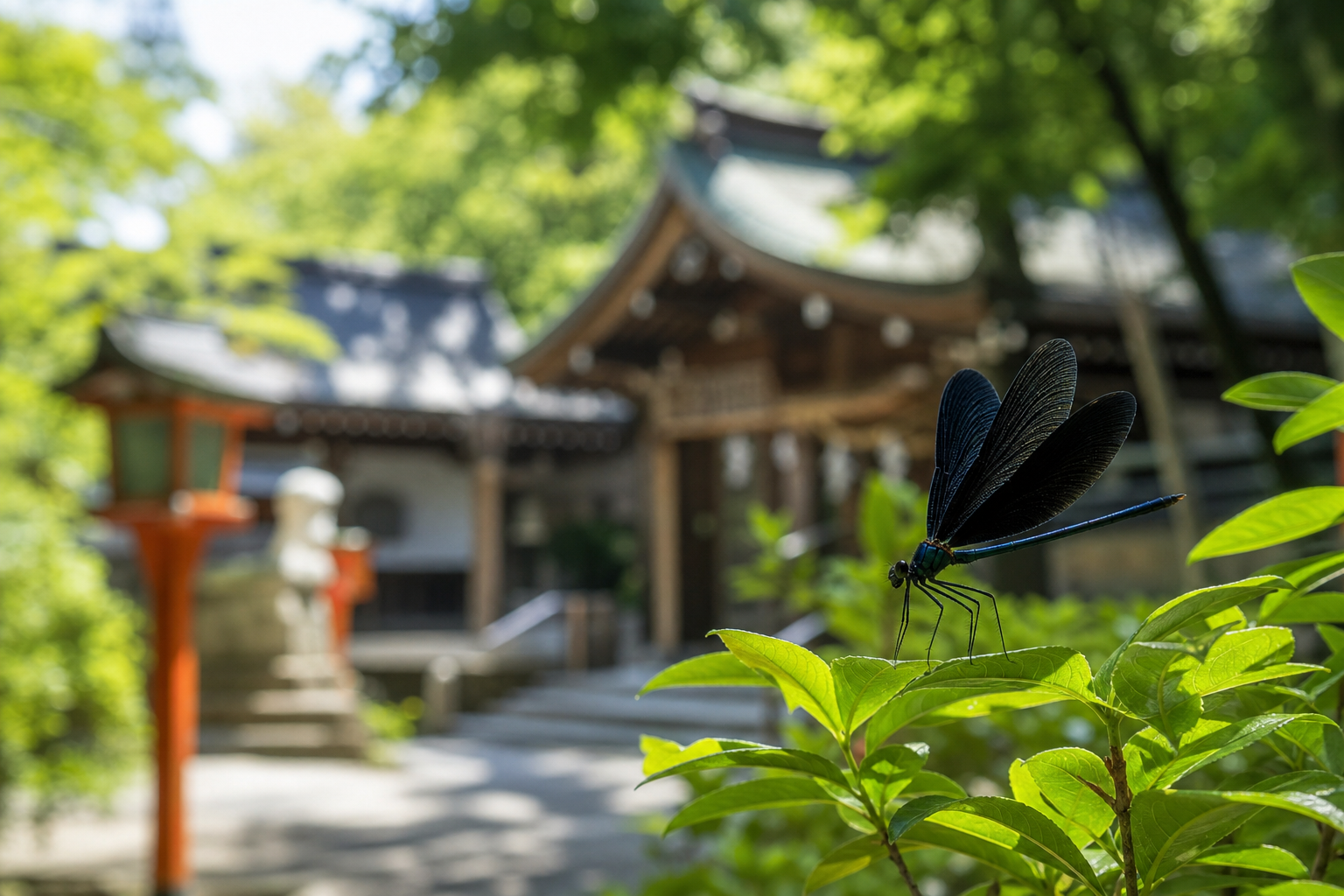 神社でハグロトンボを見た時のスピリチュアルな意味は?恋愛に悩む人必見の5つのメッセージ