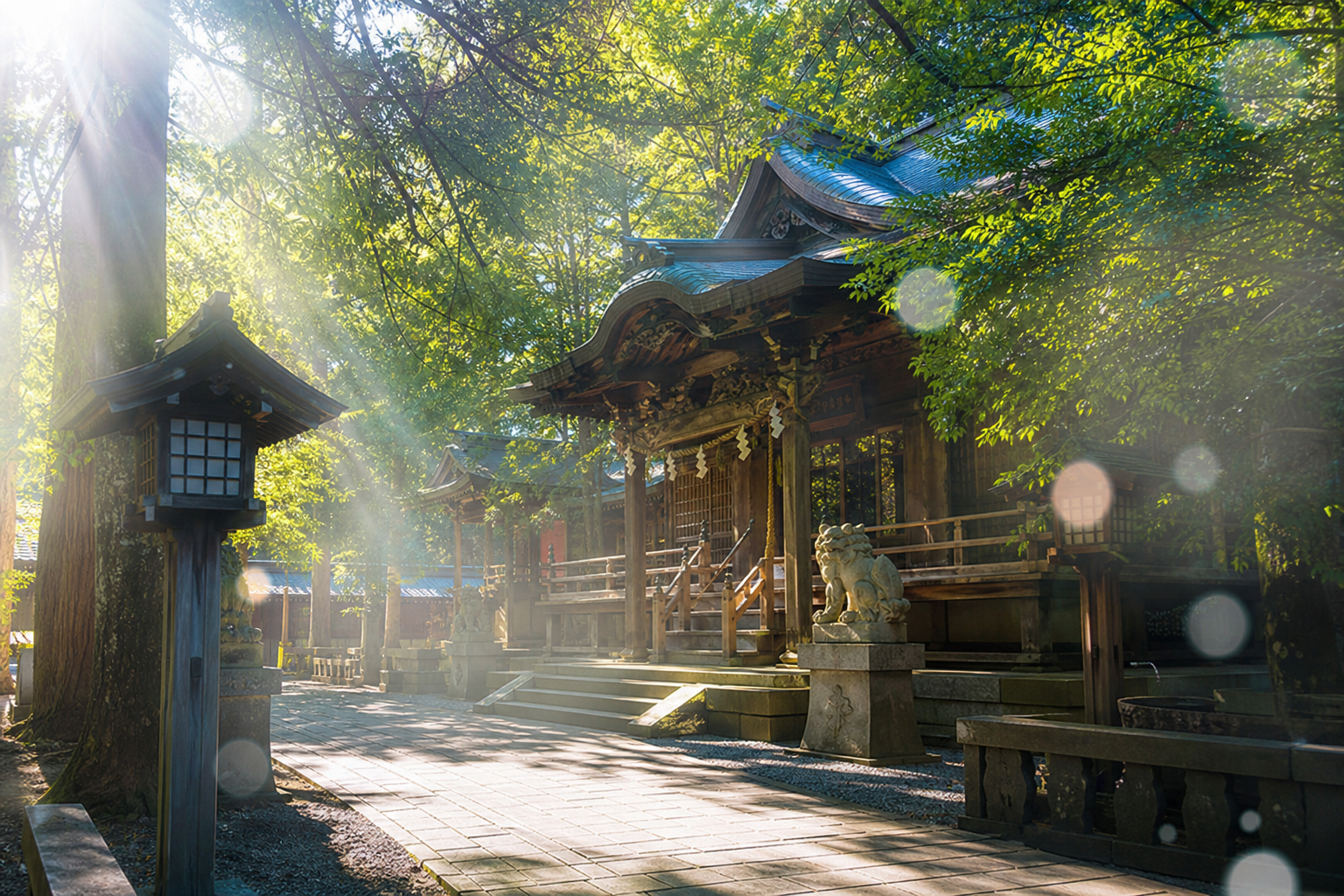 神社で不思議な写真が撮れた原因は?光やモヤの正体を徹底解析!