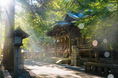 神社で不思議な写真が撮れた原因は？光やモヤの正体を徹底解析！