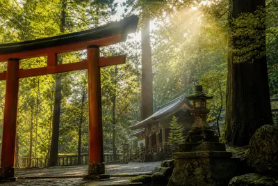 神社での不思議な体験談は実話？ブログで話題のエピソードと不思議な現象の理由を分かりやすく解説！