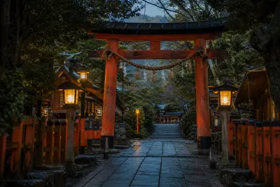 京都で行ってはいけない神社があるという噂の真相とは？歴史と信仰の謎に迫ります！