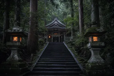 神社で怖いと言われる場所に実際に行ってみたのは本当に危険なのか？