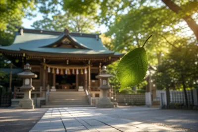 神社で歓迎サイン！葉っぱが落ちてきたスピリチュアルな理由と神様のメッセージと意味と幸運の前兆とは？