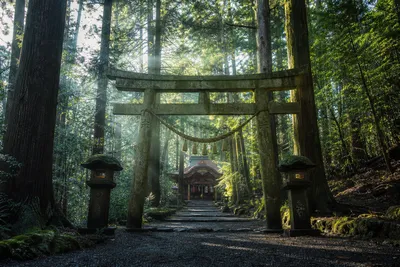 御岩神社で不思議体験をしたブログが話題だけど神秘的な写真の秘密って本当？
