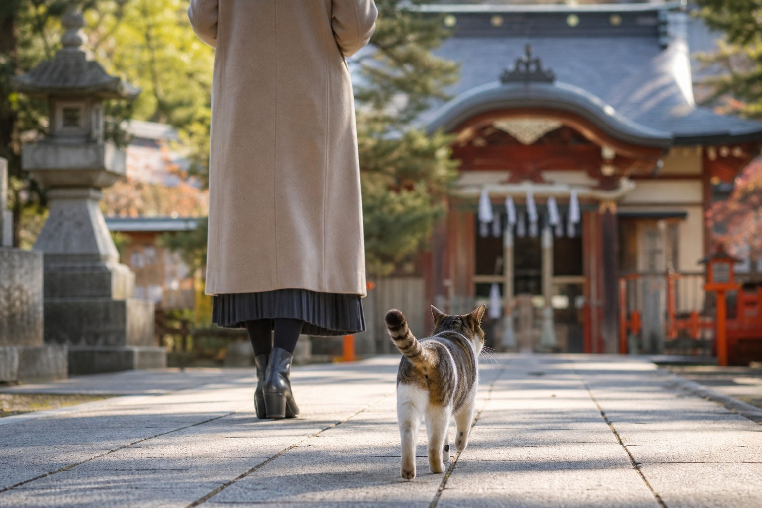 神社での参拝中に猫がついてくる!これって転職や決断を促すスピリチュアルなサインなの?