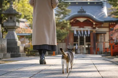 神社での参拝中に猫がついてくる！これって転職や決断を促すスピリチュアルなサインなの？