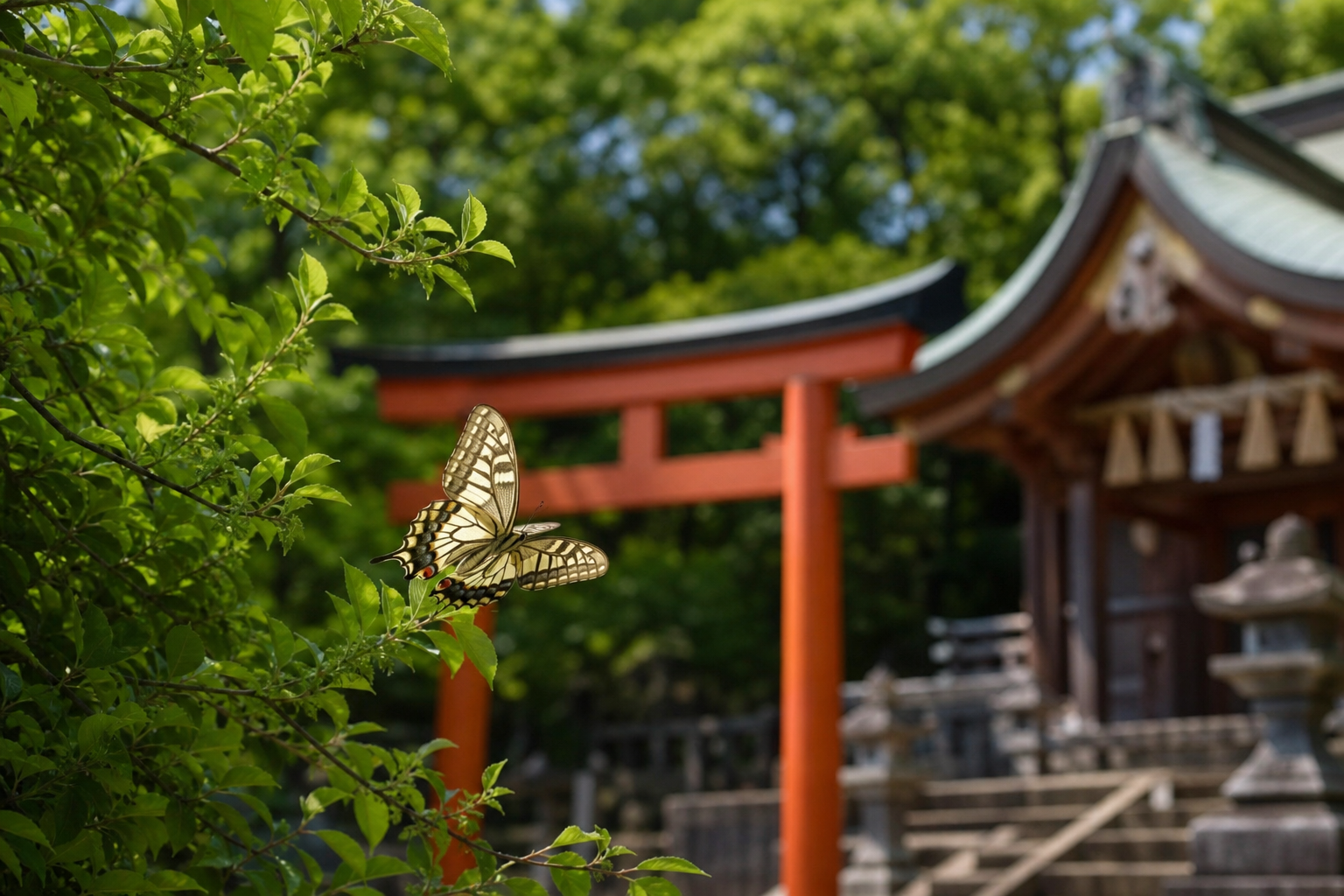 神社で歓迎サイン?蝶が近くに来たのは神様からのお出迎えって本当?