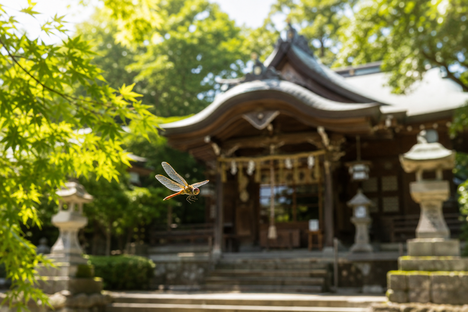 神社で歓迎サイン?トンボが飛んできた時の素晴らしい意味とは?