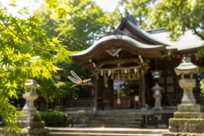 神社で歓迎サイン？トンボが飛んできた時の素晴らしい意味とは？