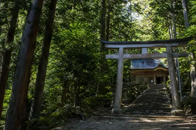 玉置神社は本当に怖いのか？実際に行ってみたリアルな感想を紹介！